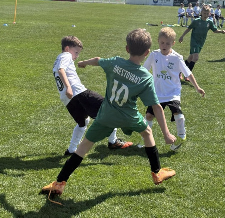 15.kolo: Brestovany - Boleráz 14:1